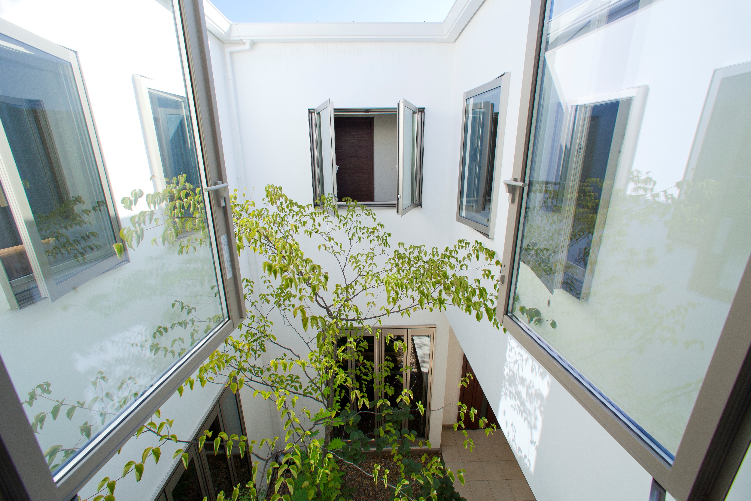 緑豊かな中庭が空間をつなぐ、明るく開放感のある家