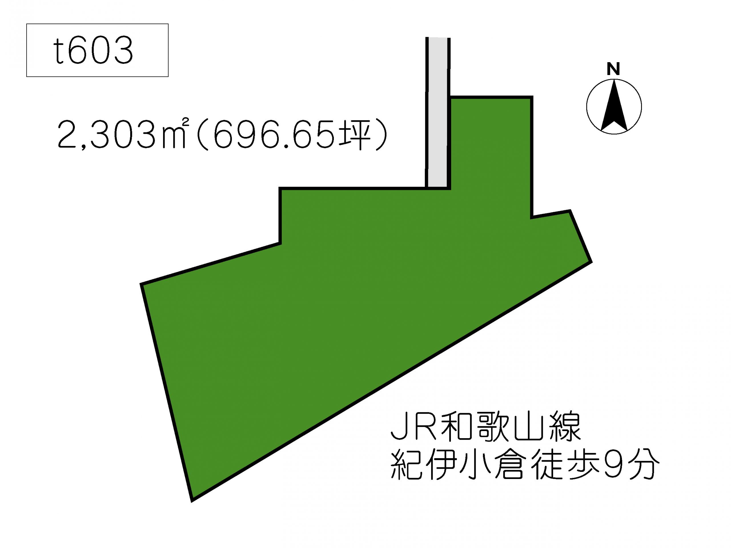 T603 下三毛