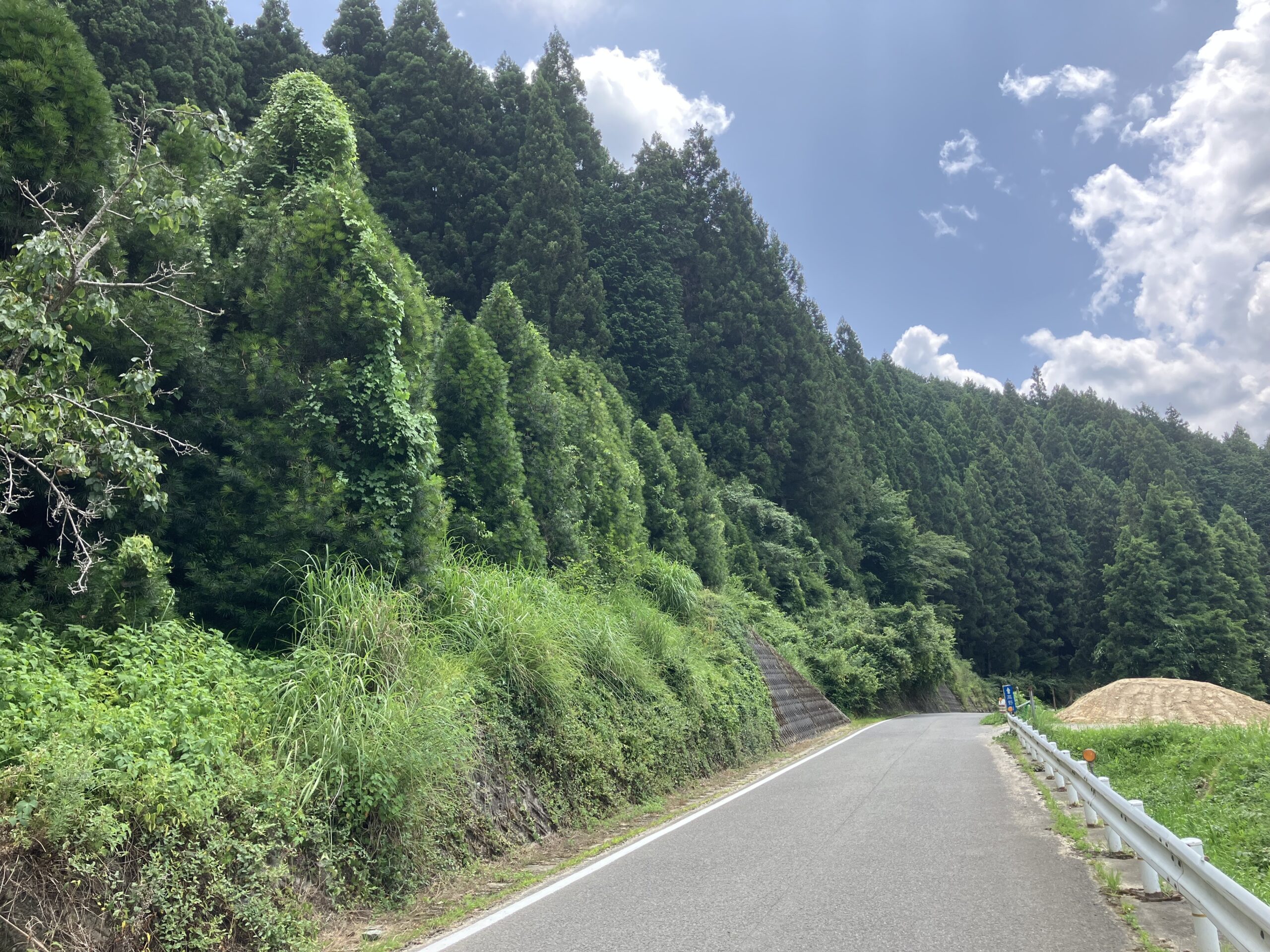 K７９６　かつらぎ町志賀
