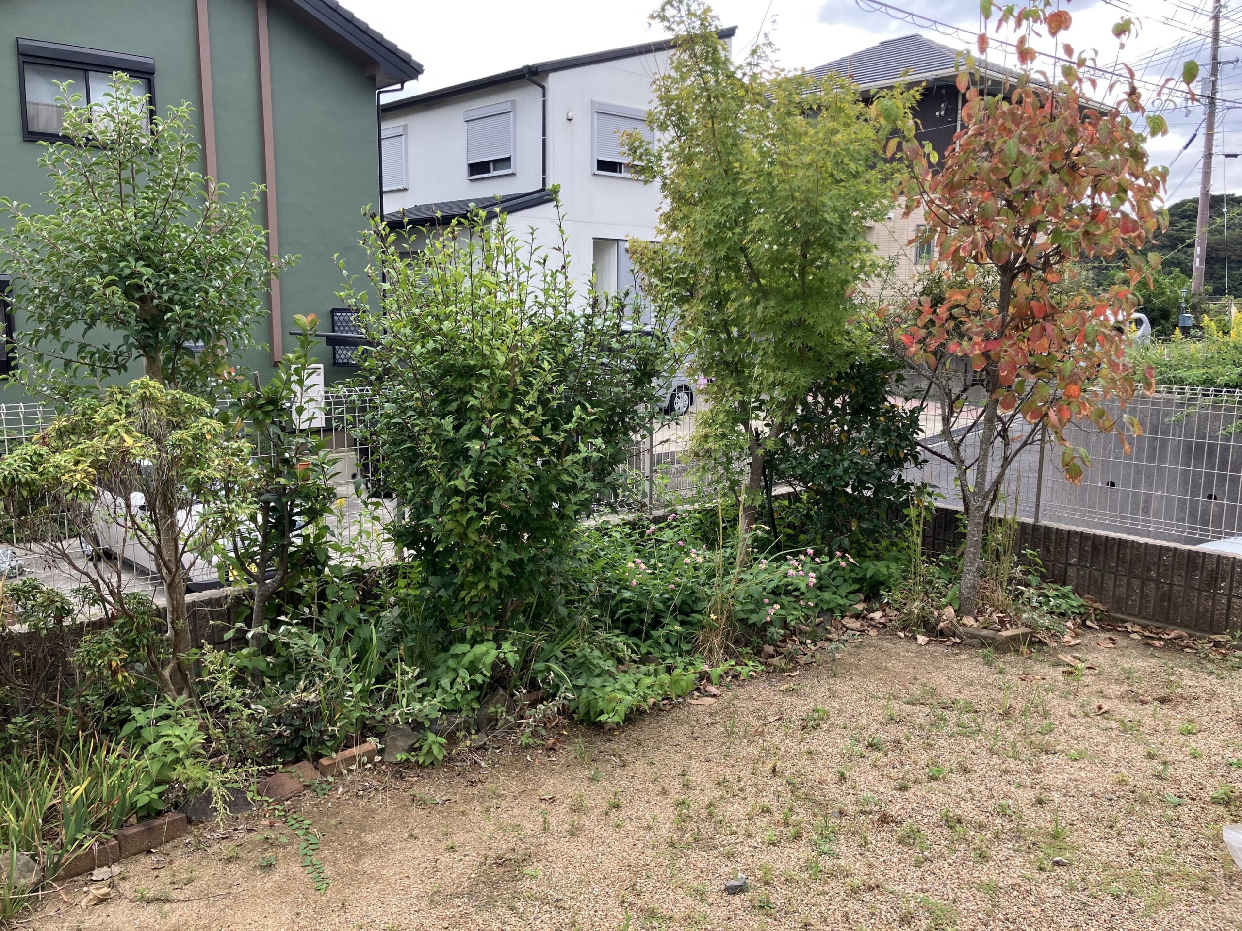 K821　和歌山市つつじが丘